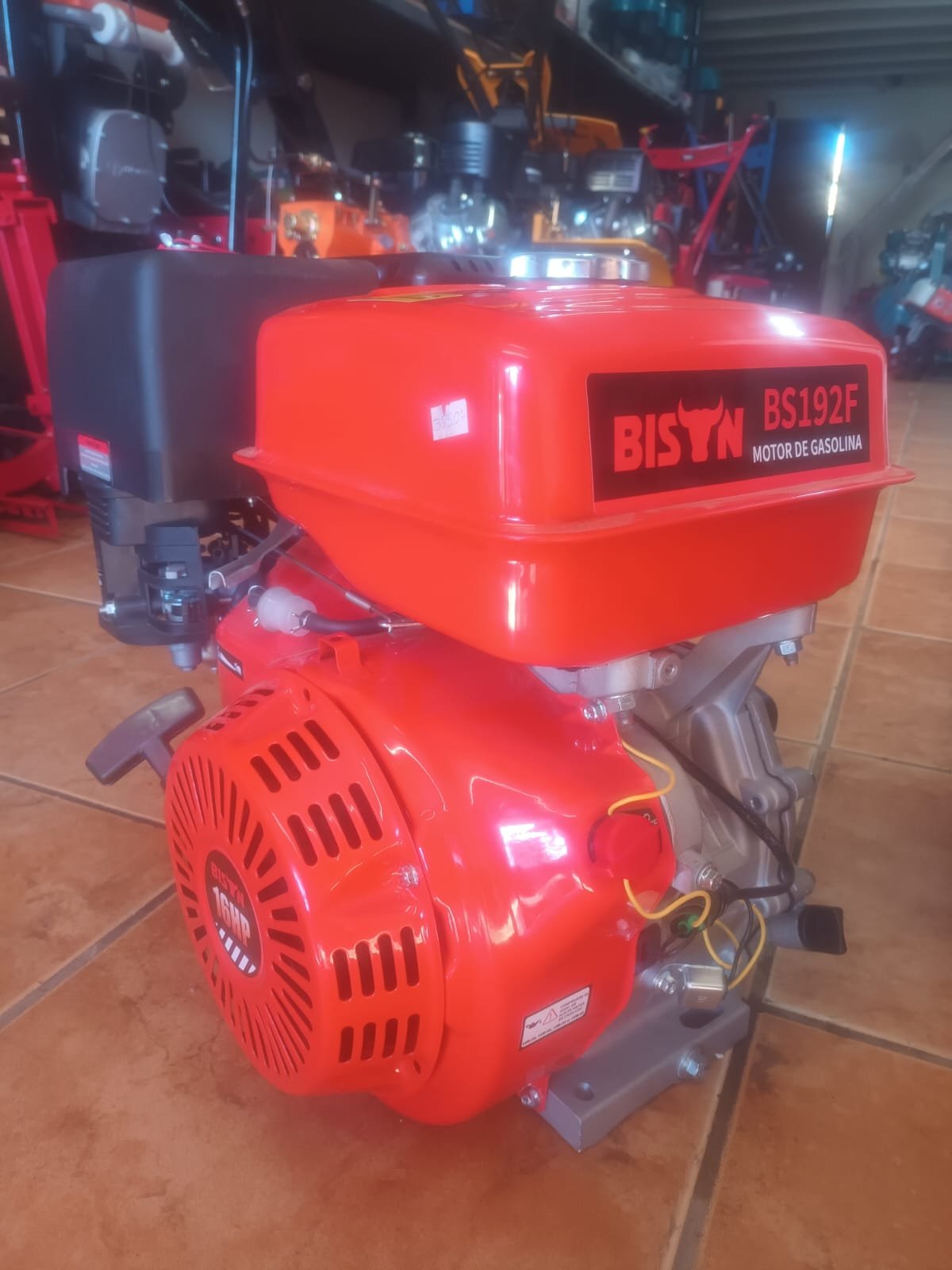 MOTOR FUNCIONARIO 16 HP USO INDUSTRIAL Bolivia - Imagen 4