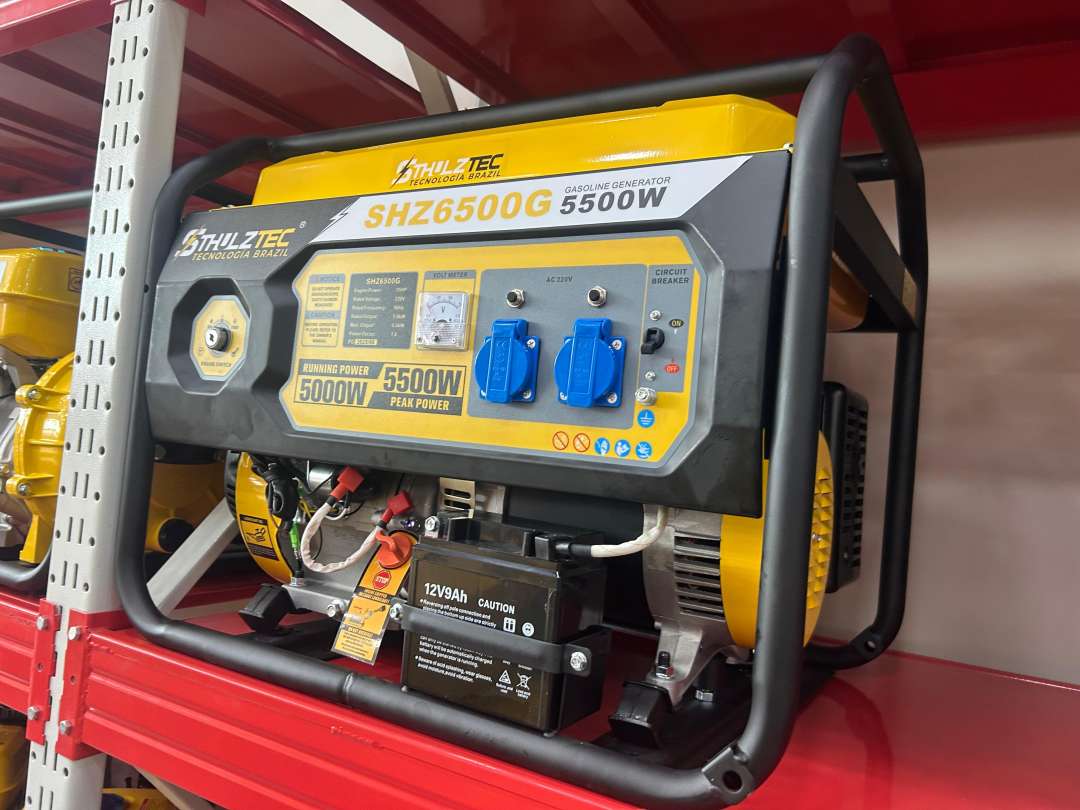 Generador de luz 5.5kW Bolivia - Imagen 2